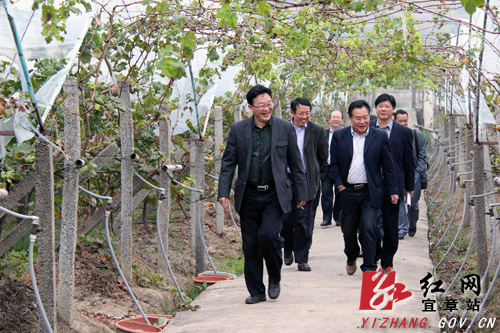 宜章县人民政府与湖南农业大学县校合作签约