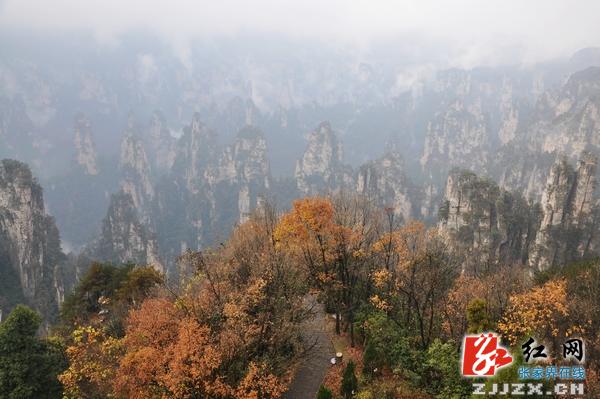张家界冬季旅游红火 景色美价格低受游客青睐