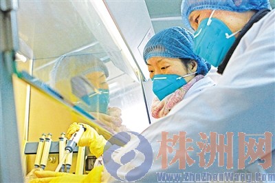 株洲发现甲型H3N2与乙型流感毒株 但大面积暴