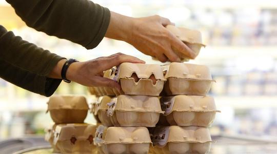 德国曝出大规模鸡蛋造假丑闻