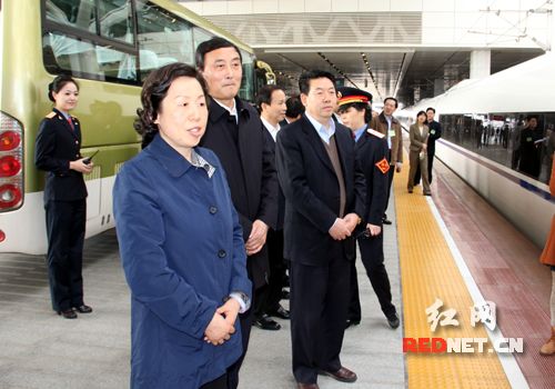湖南省人大常委会副主任刘莲玉、徐明华、蒋作斌、陈君文等到站台迎接返湘的全国人大代表。