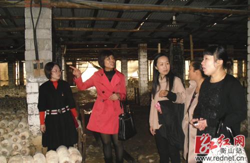 员 贺原媛)3月20日,市妇联党组成员,纪检组长雷继红一行来到衡山县