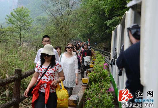 高速公路免费催旺武陵源风景区清明自驾游