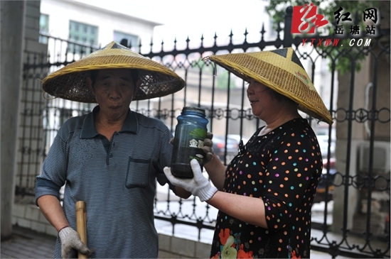 【最美岳塘人】陈顺泉大妈:内在美+外在美=最美