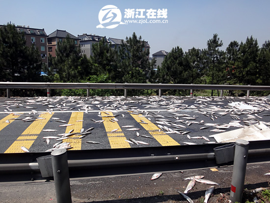 本页无标题