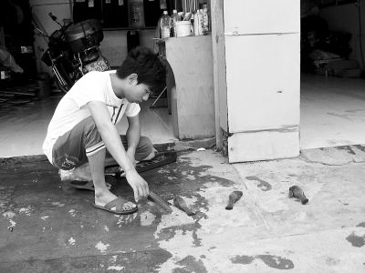 本报讯（十堰晚报记者冰客）继前不久大批小鸟在十堰市浙江路集体撞墙而亡后，昨天又有一批相思鸟在该市天津路撞墙而亡。