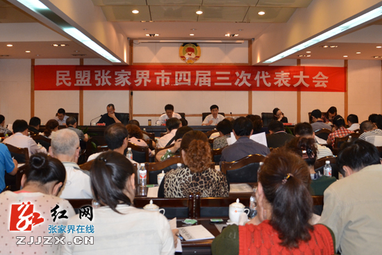 民盟张家界市委:务实创新 凝心聚力 奋力开创民盟工作新局面