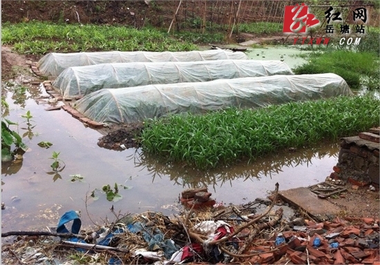 宝塔街道429人受暴雨灾害得妥善安排
