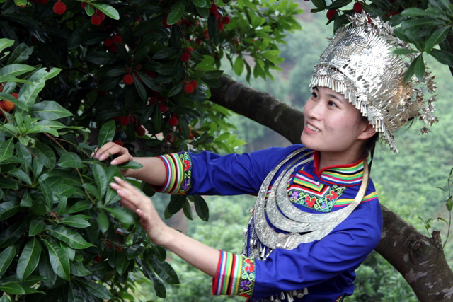 杨梅红了!中国杨梅之乡湖南靖州与您有个约会