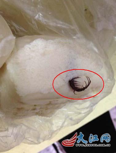 网曝南昌大学食堂馒头内惊现蜈蚣校方调查（图）