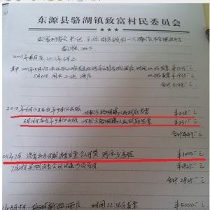 村委会刚刚上任半个月，便有两张抬头为骆湖镇人民政府的发票在村账内报销。镇纪委书记李军称，村书记游志雄和镇府工作人员一起吃饭，不懂(规矩)，开错了。