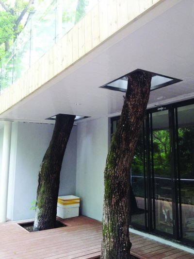 南京中山植物园科普馆变身酒店承办婚宴(图)
