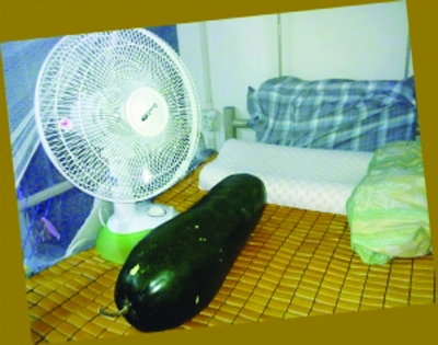 抱冬瓜睡成纳凉妙招