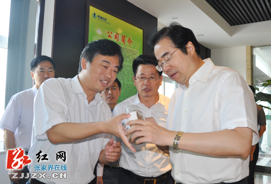 省“转作风、解难题、抓关键、见实效”专项活动组来张家界督查