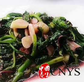 高考考生吃什么有利高考 考试前吃块巧克力对