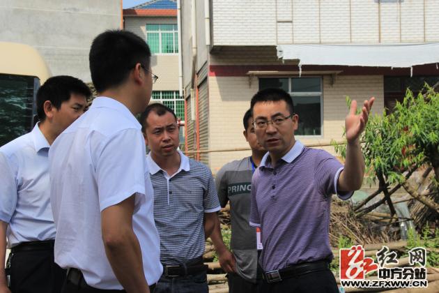 中方县委副书记张家铣深入桐木镇调研