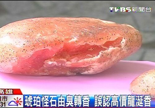 台男子捡到琥珀怪石由臭转香误认为高价龙涎香