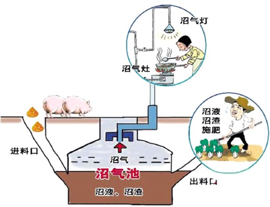 不养猪也能用上沼气 长沙县沼气用户达8万