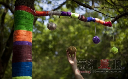 5月27日,湖南科技大学,树木被艺术般地装饰一新,吸引不少学生驻足观看