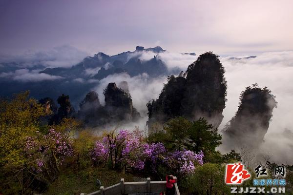 张家界摄影家彭立平作品连获两项全国赛事大奖