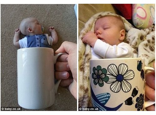 整蛊宝宝照片：“我在杯子里再睡会儿。”