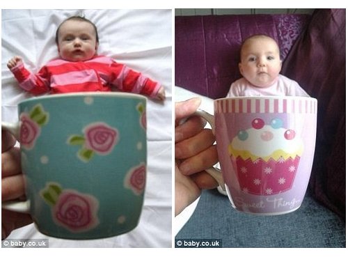 整蛊宝宝照片：“你喜欢我的花杯子新家吗？”
