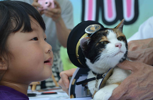 日本铁路公司期待“猫站长”小玉助削减赤字（图）