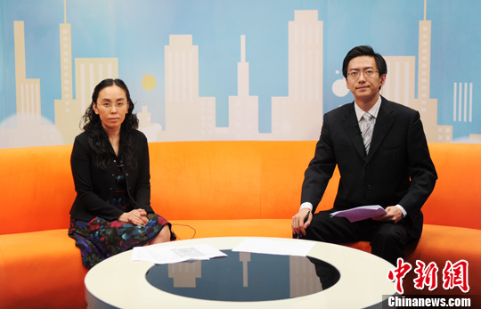 国家发改委能源研究所研究员时璟丽做客中新网视频访谈 中新网 李美多 摄