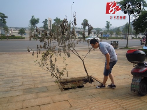 福星中路人行道电力井盖破损 居民盼修复