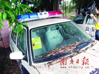 10辆警车待编无牌不能上路