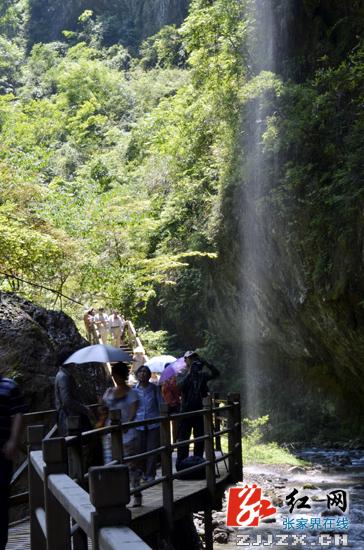 张家界主打“生态旅游牌”迎端午　学生游将现高峰