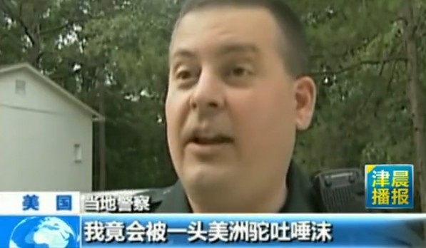 [视频]出逃美洲鸵嚣张拒捕 冲警察吐唾沫踩脚下