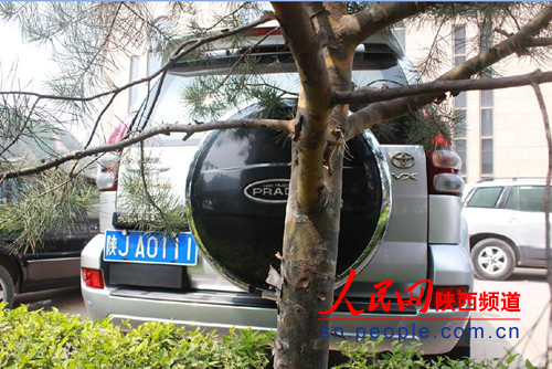 延安市城管局长被指拥豪华公车 超部长级