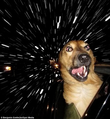 太快了！