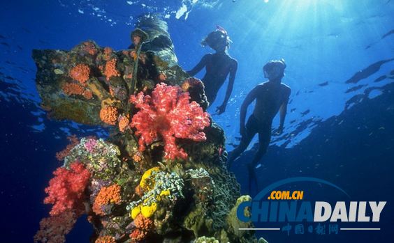 探秘世界最大海底墓地 二战日军尸骨在此沉睡