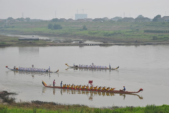 东山街道龙舟赛 资料图