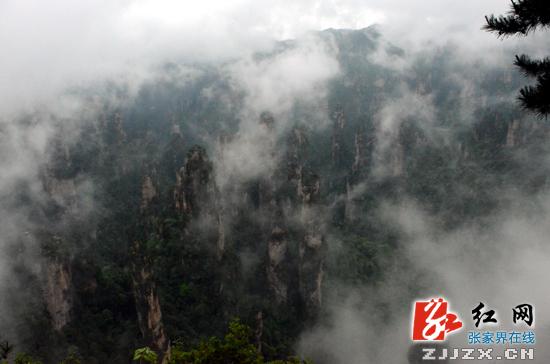 端午小长假首日 武陵源风景区雨雾美景迎宾客