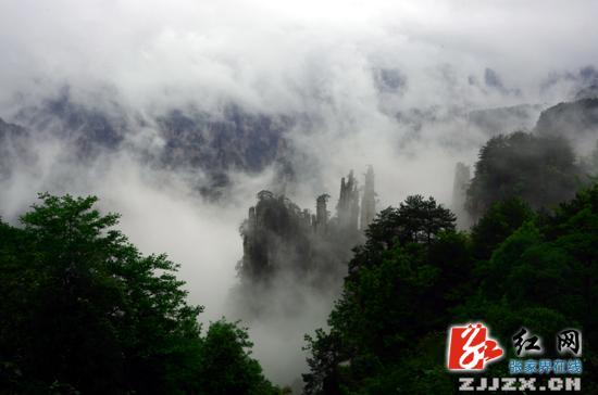 端午小长假首日 武陵源风景区雨雾美景迎宾客
