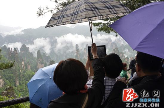 端午小长假首日 武陵源风景区雨雾美景迎宾客