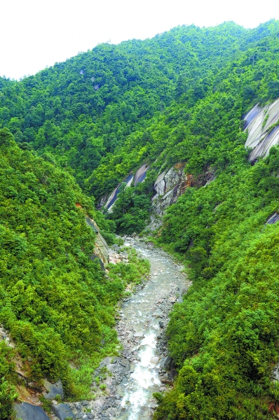 守护湖南的"香格里拉"蓝山县国家森林公园