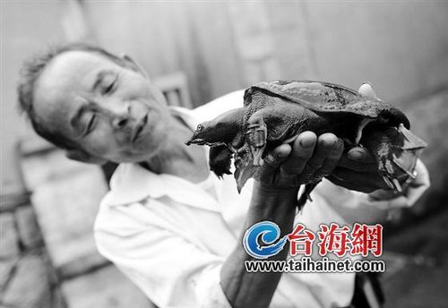 厦门老汉身藏口技绝技 能与青蛙及鳖“对话”