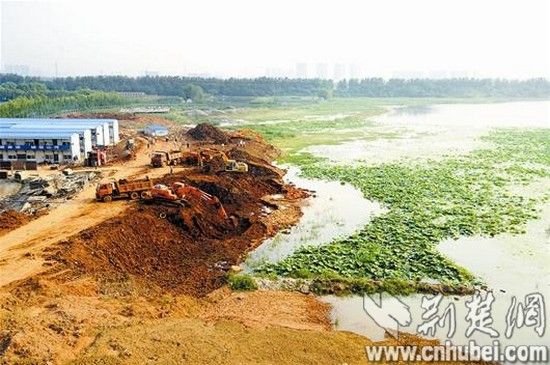 图为：黄陂长湖某楼盘工地，土方延伸至湖岸线内十多米远处 （记者曹大鹏摄）