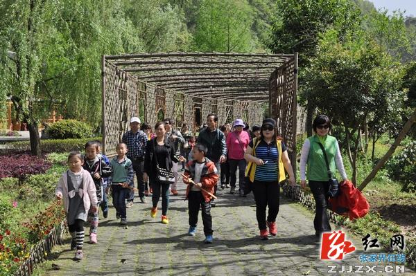 景美价廉实惠多 张家界成学生旅行主选地