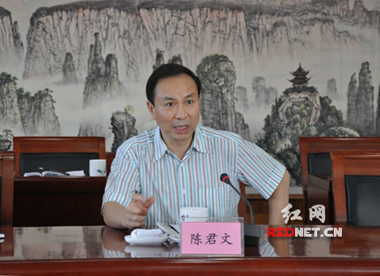 湖南省人大常委会副主任陈君文强调，要尽最大努力，实事求是地揪出问题，抓准问题。