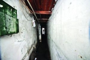 陈水总的家坐落在厦门最古老的城区。他家房子在一个黑暗狭窄的巷子里，紧邻当地著名的商业街。