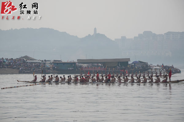 沅陵县:五月龙舟闹沅江(图)