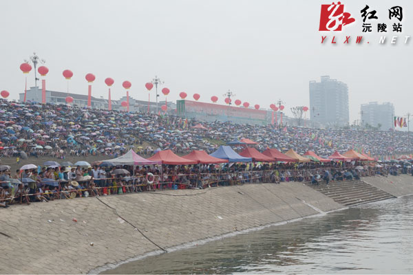 沅陵县:五月龙舟闹沅江(图)