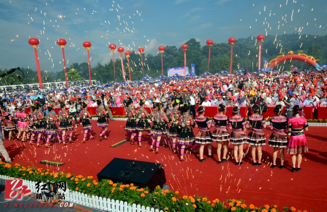 "金大地"2013·中国·靖州杨梅节开幕 - 湖南频道