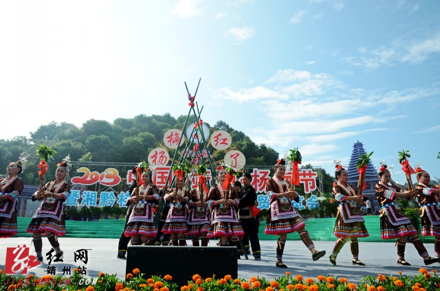 金大地2013·中国·靖州杨梅节开幕