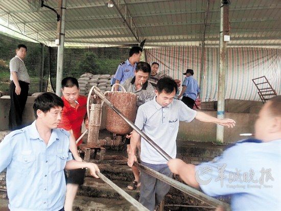 广东梅县非法灌猪场强行给猪灌料增重遭取缔